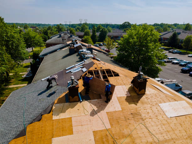 Best Roof Gutter Cleaning  in Hybla Lley, VA