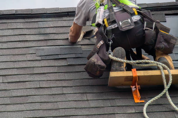 Best Roof Maintenance Services  in Hybla Lley, VA