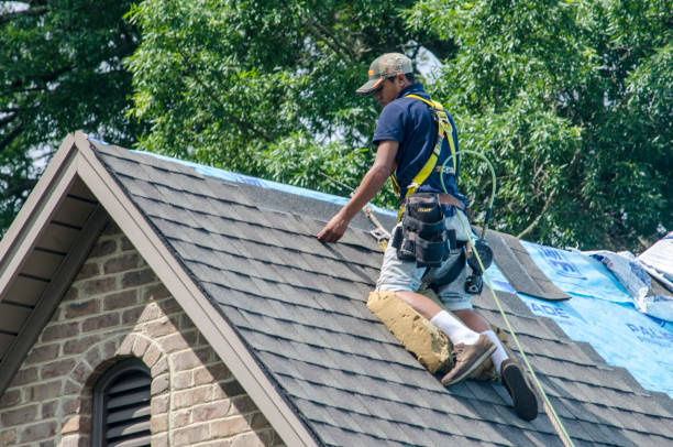 Professional Roofing Contractor in Hybla Valley, VA